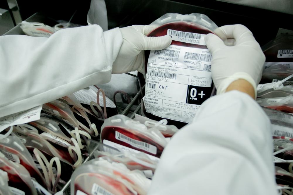 Capa da notícia: Conselho de Saúde aprova Plano Diretor de Sangue 2024-2027 do Hemocentro de Brasília